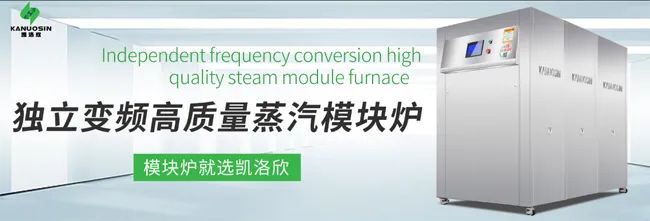 低氮模塊爐 低氮模塊爐