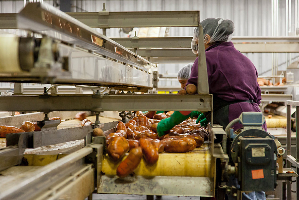 蒸汽源廠家淺談：凱洛欣燃氣模塊爐為何備受食品行業(yè)青睞？